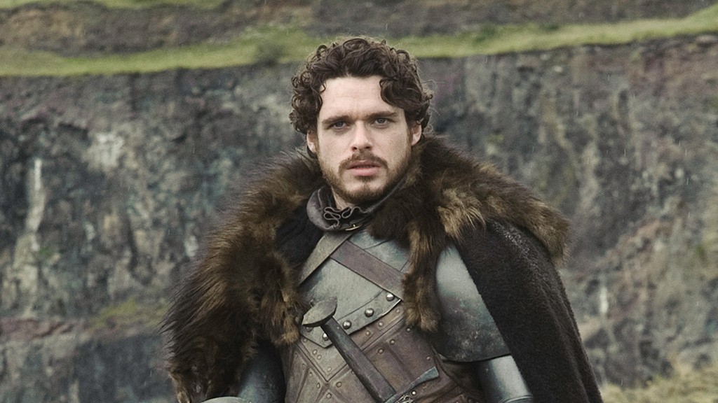 Robb Stark, the young and skilled leader of the Stark forces