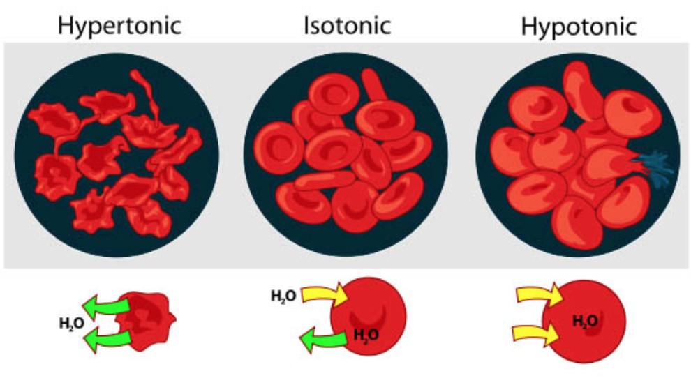 Osmotic pressure