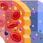 Diffusion of molecules