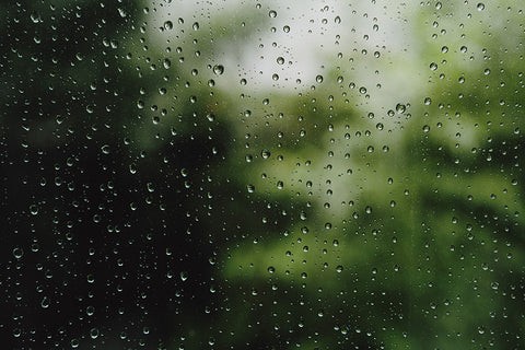 Dew point vs relative humidity differences explained