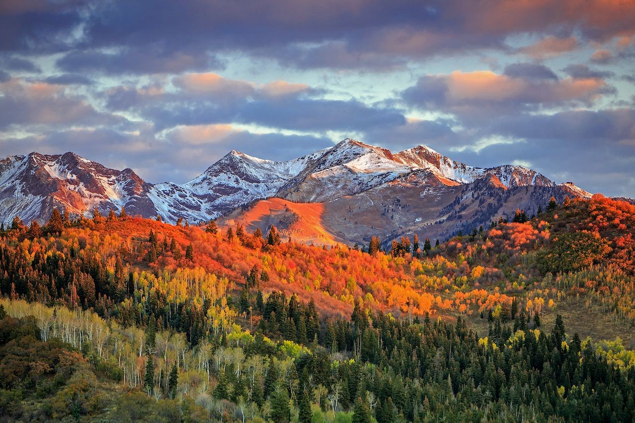 The Wasatch Mountains in fall colors, Utah. The alt text is: A landscape view of the Wasatch Mountains during fall in Utah, featuring vibrant foliage and a clear sky.