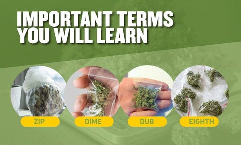 measurements-of-weed